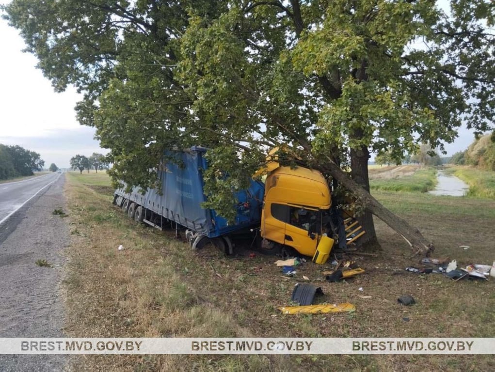 В Столинском районе водитель грузовика уснул за рулем и врезался в дерево