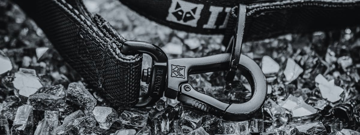 Tesla до конца 2024 года достроит в Шанхае завод для выпуска накопителей энергии