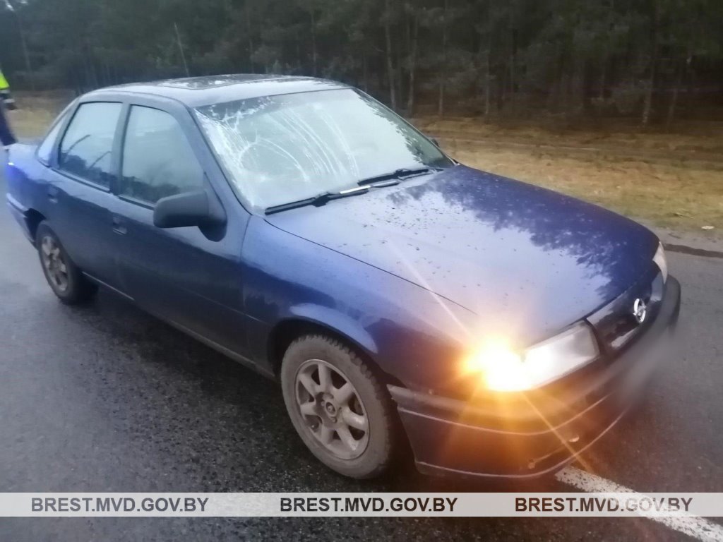 Автомобилист сбил велосипедистку в Дрогичинском районе