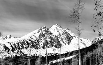 Премьер Словакии выжил после покушения