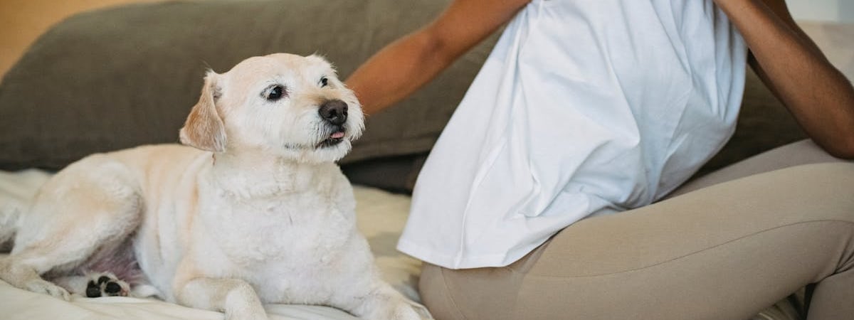 Meta готовится к увольнениям в понедельник