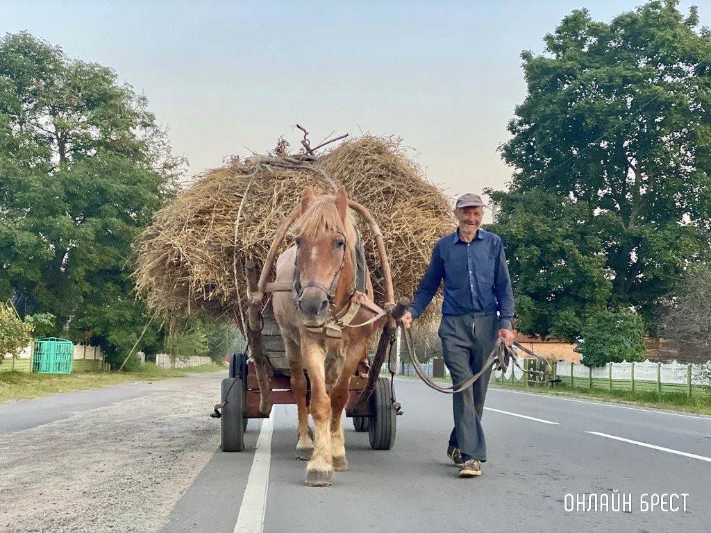 Фото носит иллюстративный характер