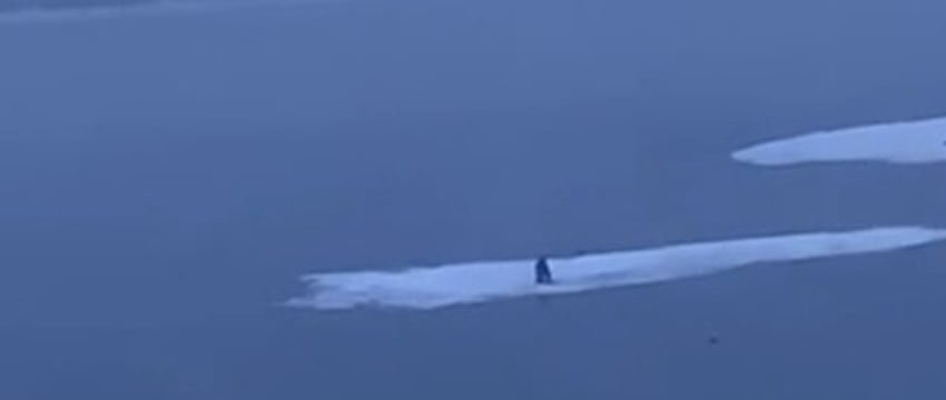 В российском Красноярске мужчину унесло на льдине - видео