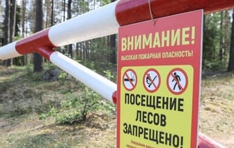 По всей Беларуси ограничено и запрещено посещение лесов