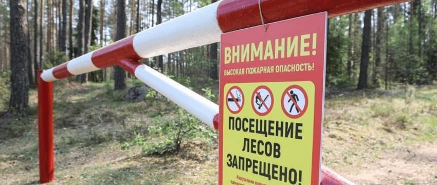 По всей Беларуси ограничено и запрещено посещение лесов