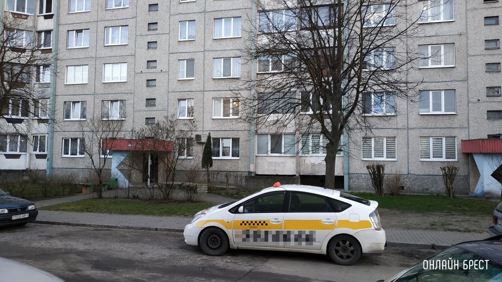 Фото носит иллюстративный характер