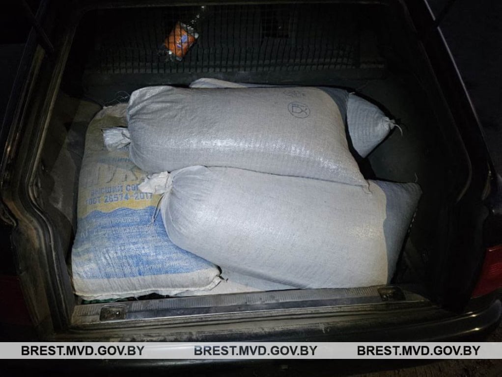 В Брестской области сотрудники ГАИ остановили Audi, которая имела сильный провес. Вот что было в багажники