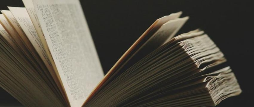 Вора задержали в квартире, когда он зачитался