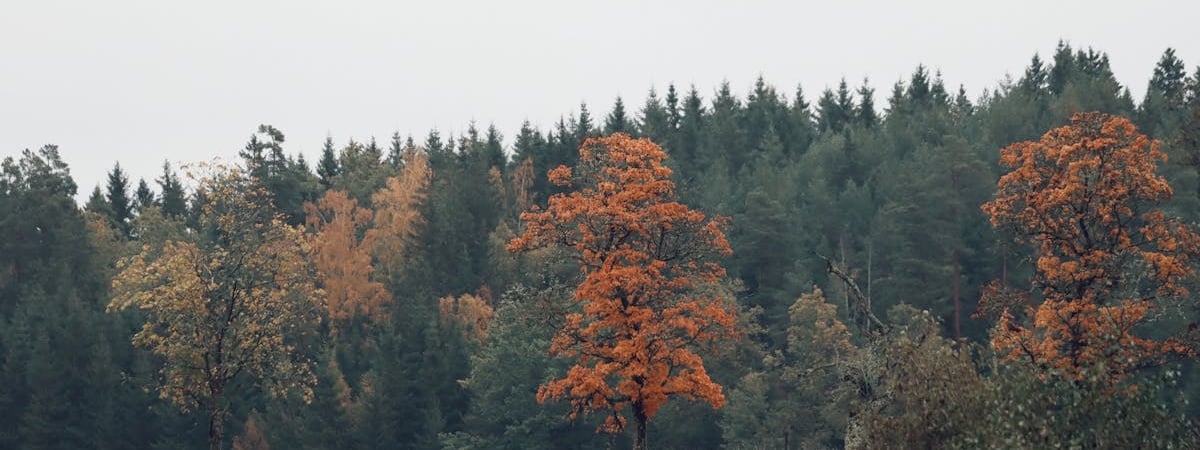 Швеция не будет строить морские ветропарки по соображениям безопасности