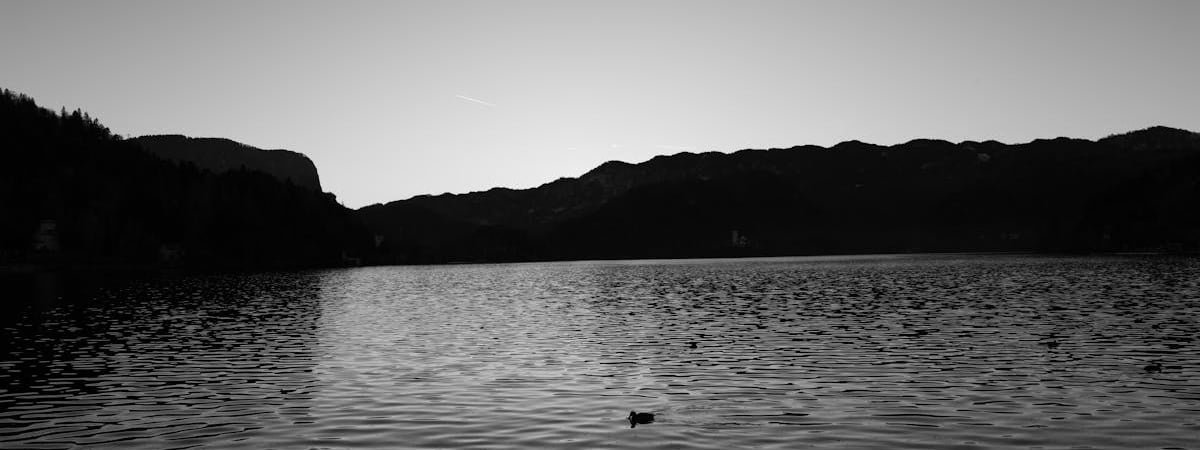 Нелегальная миграция в ЕС в прошлом году сократилась, больше прибыло из Беларуси и РФ