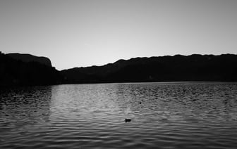 Нелегальная миграция в ЕС в прошлом году сократилась, больше прибыло из Беларуси и РФ