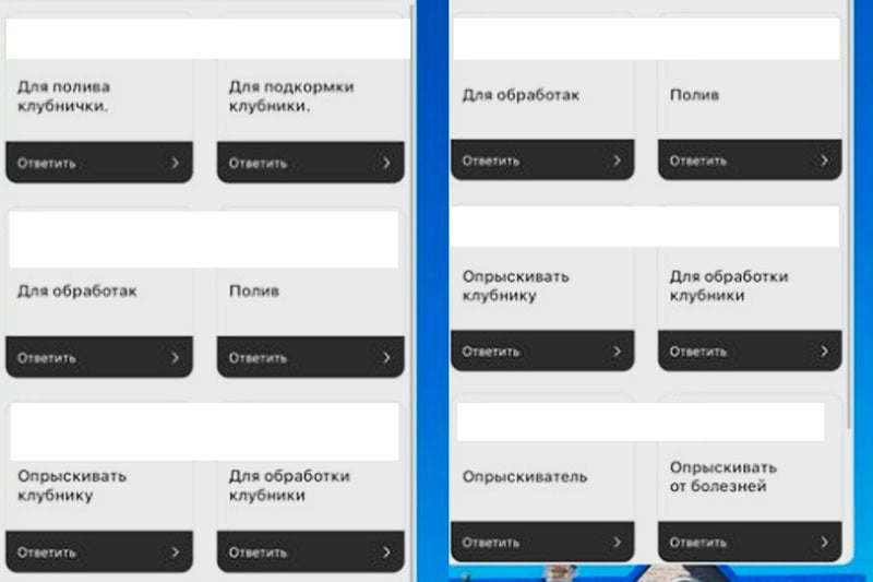 Необычный самодельный аппарат для ухода за клубникой показала в своем блоге жительница Брестской области