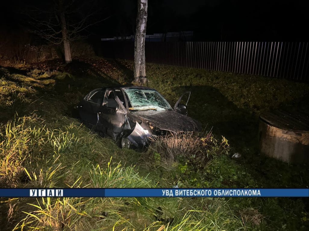 В Полоцком районе погиб водитель легковушки, налетевшей на пень. Фото ГАИ