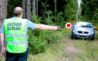 «Опасно для жизни» — Минлесхоз запретил белорусам ходить в лес. Где можно нарваться на штраф 1200 рублей?