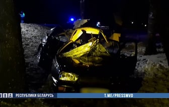 Две девушки погибли в результате ДТП в Оршанском районе: VW с 5 человеками влетел в дерево