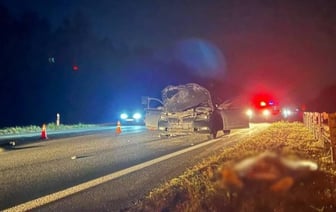 В Беларуси в аварии с лосем погиб пассажир легковушки