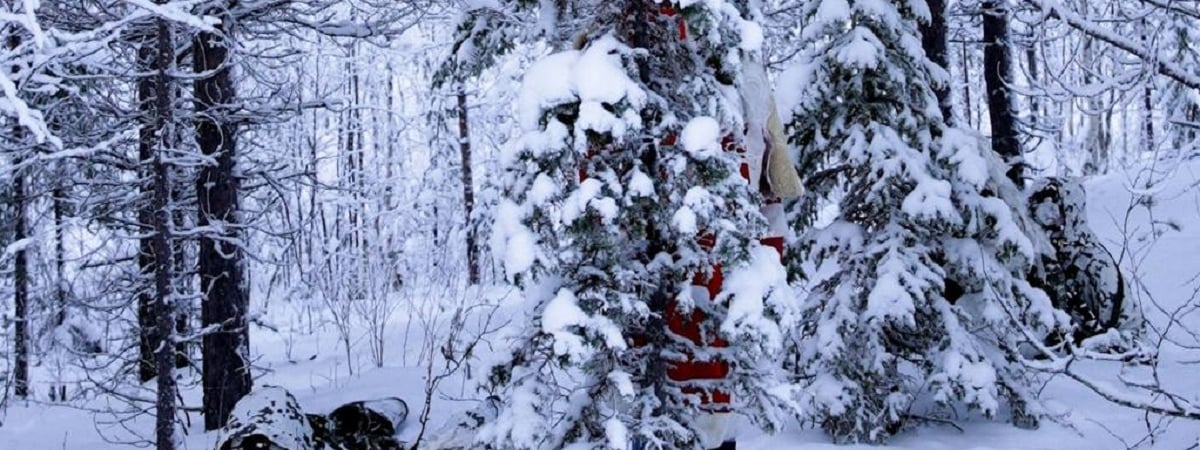 Один Дед Мороз, а сколько снайперов? В НАТО предложили непростую головоломку — Фото
