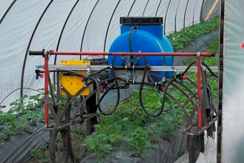 Необычный самодельный аппарат для ухода за клубникой показала в своем блоге жительница Брестской области