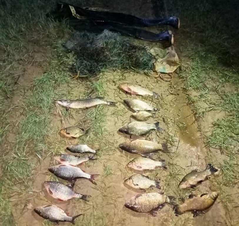 Два белоруса нарыбачили на уголовку: узнали подробности