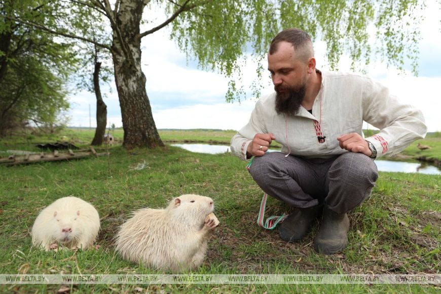 Многодетные супруги наладили деревенский быт и приручили нутрий. Репортаж из Брестской области
