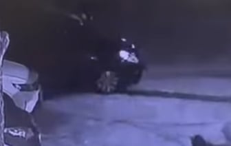 Виноваты ли собаки в ночном ДТП в Борисове? Подробности