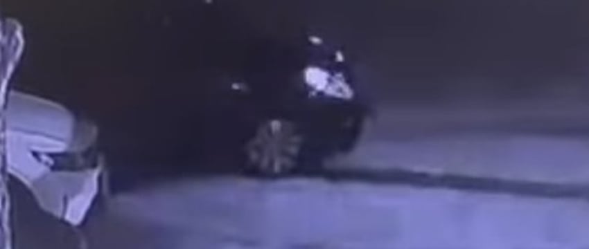 Виноваты ли собаки в ночном ДТП в Борисове? Подробности