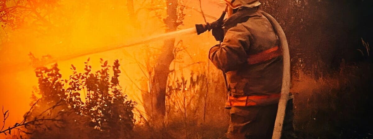 «Дым пойдёт на Беларусь» — Украинский эколог рассказал о последствиях пожара в зоне ЧАЭС. Что ответили в Белгидромете?