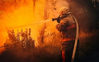 «Дым пойдёт на Беларусь» — Украинский эколог рассказал о последствиях пожара в зоне ЧАЭС. Что ответили в Белгидромете?