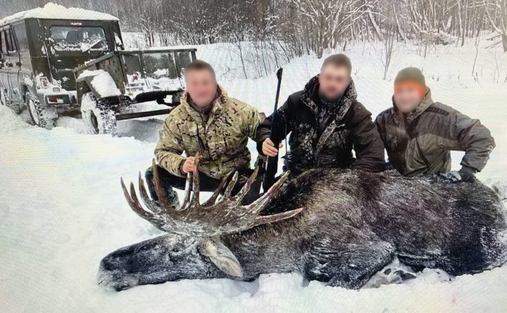 В МВД рассказали подробности истории охоты с вертолёта на медведя