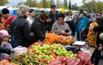 Сельхозярмарки стартуют в Беларуси: где и когда?