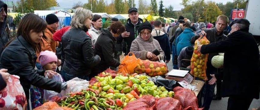 Сельхозярмарки стартуют в Беларуси: где и когда?