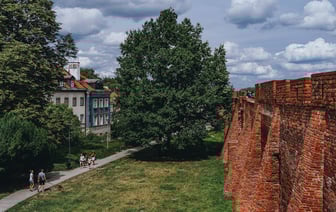 Польша хочет в 2025 году запустить свои военные спутники