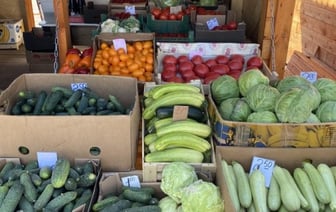 В Белкоопсоюзе рассказали, по каким ценам закупают в этом году ягоды и овощи