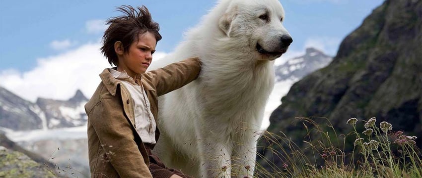 Смотри, Гомель. Пять кинофраншиз на большие выходные