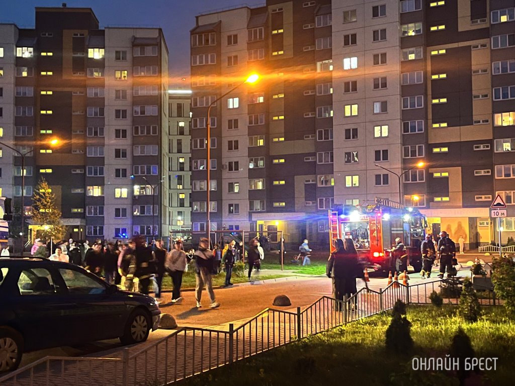 Фото носит иллюстративный характер