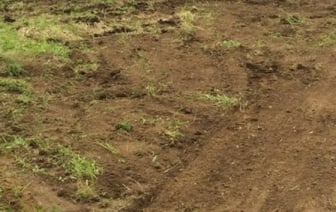 Зять расчленил тело тестя на 6 частей: найдены останки пенсионера, пропавшего 15 лет назад