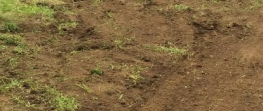 Зять расчленил тело тестя на 6 частей: найдены останки пенсионера, пропавшего 15 лет назад