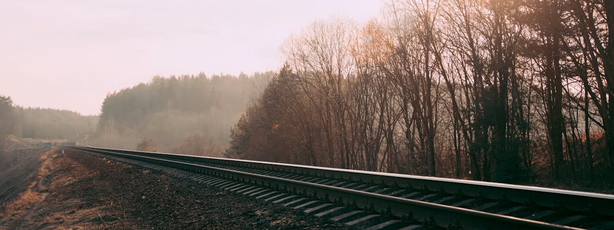 Задержанного в Азии экс-бойца полка Калиновского выдали Беларуси