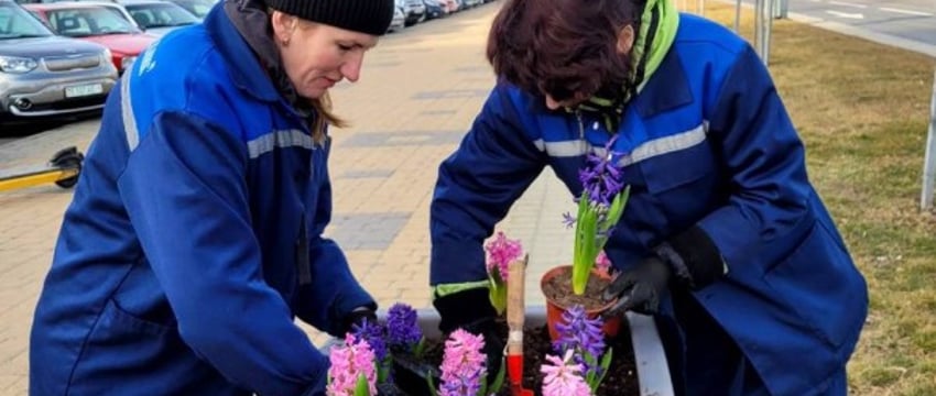 Брест расцветает к 8 Марта