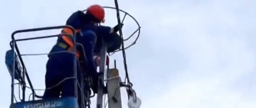 Более 200 платформ для аистов установят на опорах ЛЭП в Беларуси