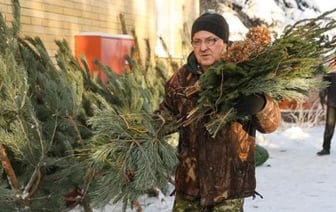 Названы цены на новогодние елки в Беларуси – от 5 рублей