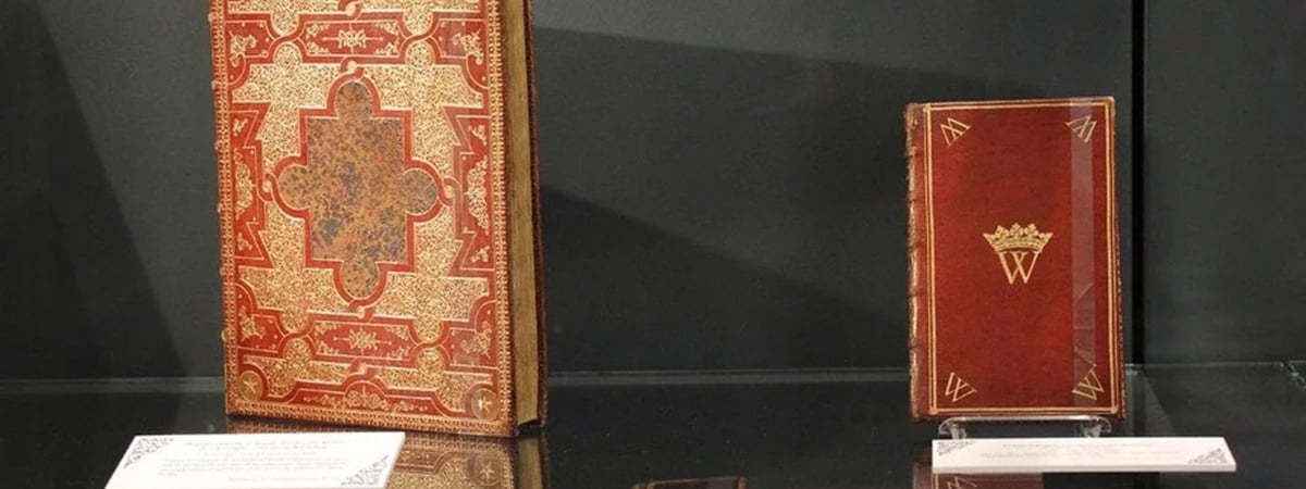 Гарвардский университет убрал обложку из книги, изготовленную из кожи человека