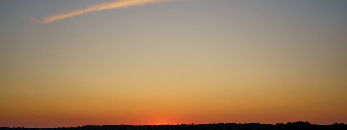 В Польше у границы с Беларусью обнаружили воздушный шар