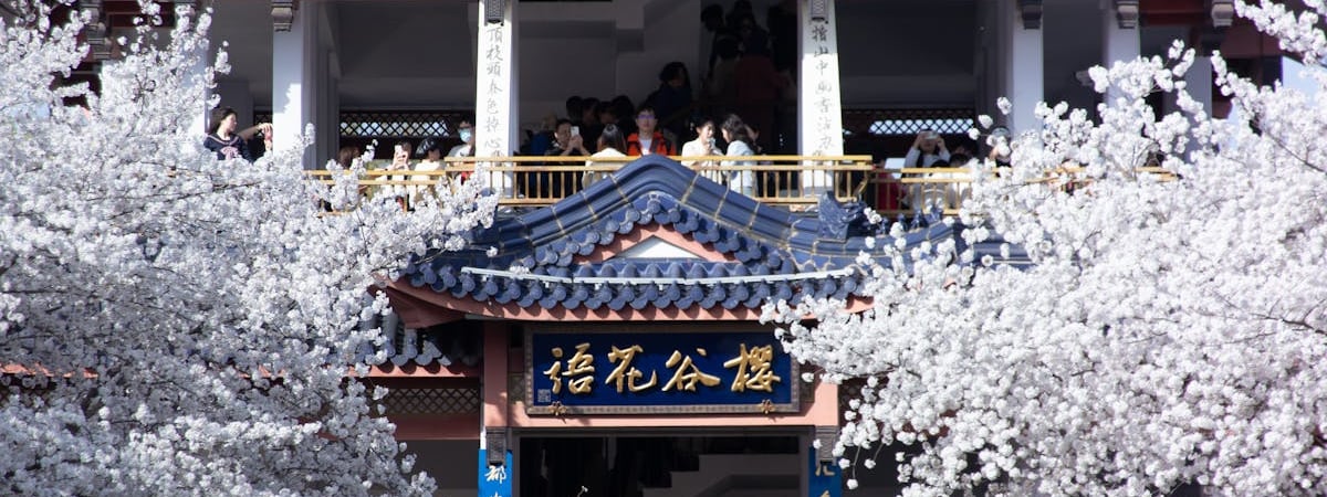 Китай будет искать пути урегулирования "кризиса в Украине" своим способом