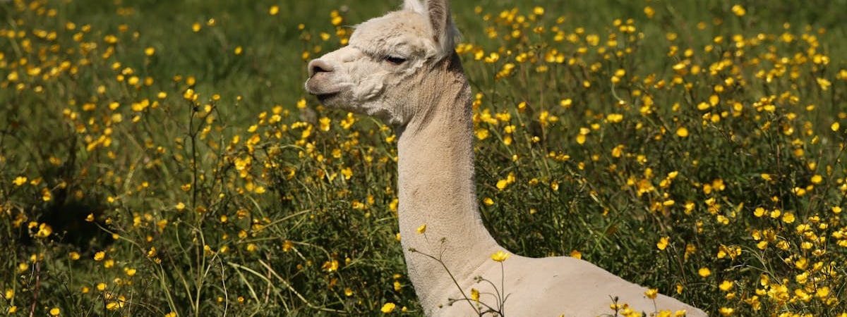 Швеция направляет €44 млн на энергосистему и отопление в Украине