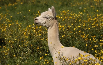 Швеция направляет €44 млн на энергосистему и отопление в Украине