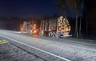 В Ивацевичском районе на М1 лесовоз столкнулся с BMW — есть пострадавшие