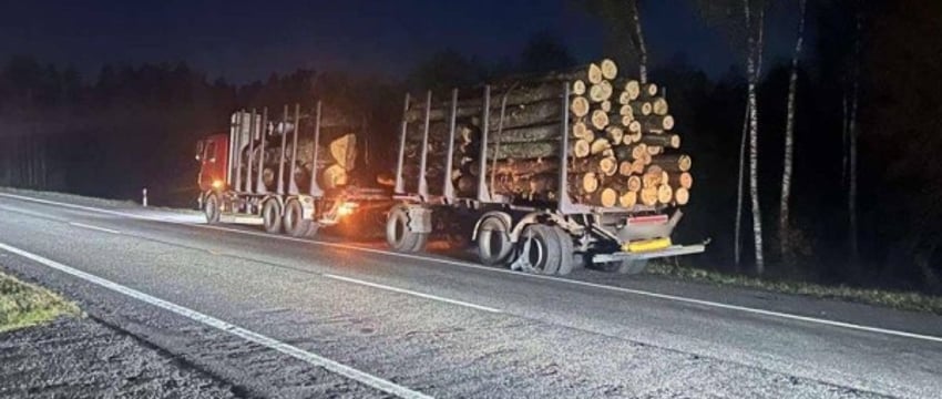 В Ивацевичском районе на М1 лесовоз столкнулся с BMW — есть пострадавшие