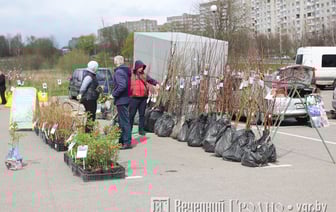 Нужны овощи и саженцы? Рассказываем, где и когда в Гродно пройдут осенние сельхозярмарки