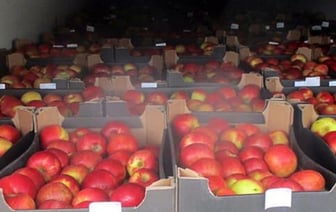 Задержание контрабанды польских яблок